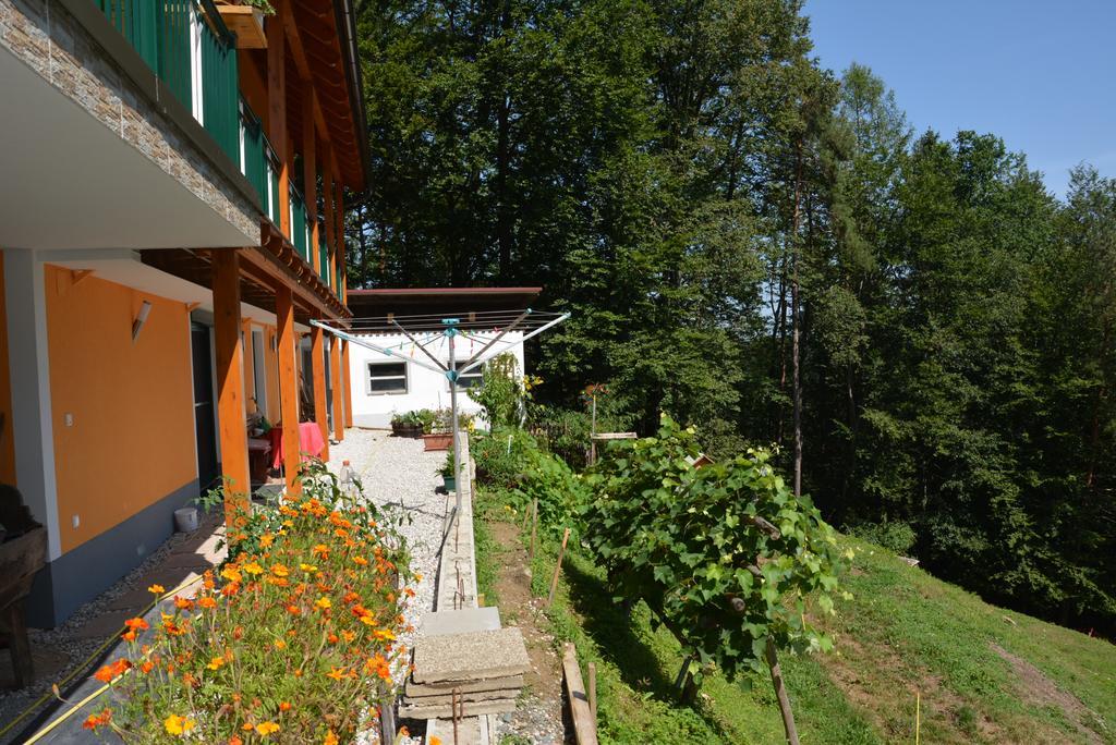 Appartement Gaestehaus Schmid à Sankt Johann im Saggautal Extérieur photo