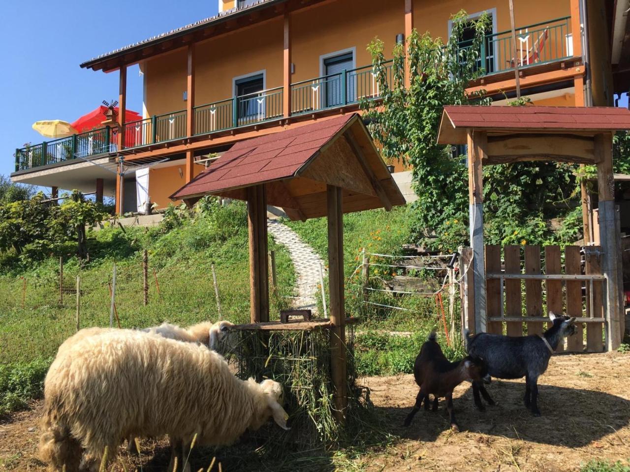 Appartement Gaestehaus Schmid à Sankt Johann im Saggautal Extérieur photo